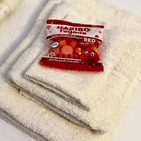 Apartament Calme & Style En Hyper Centre